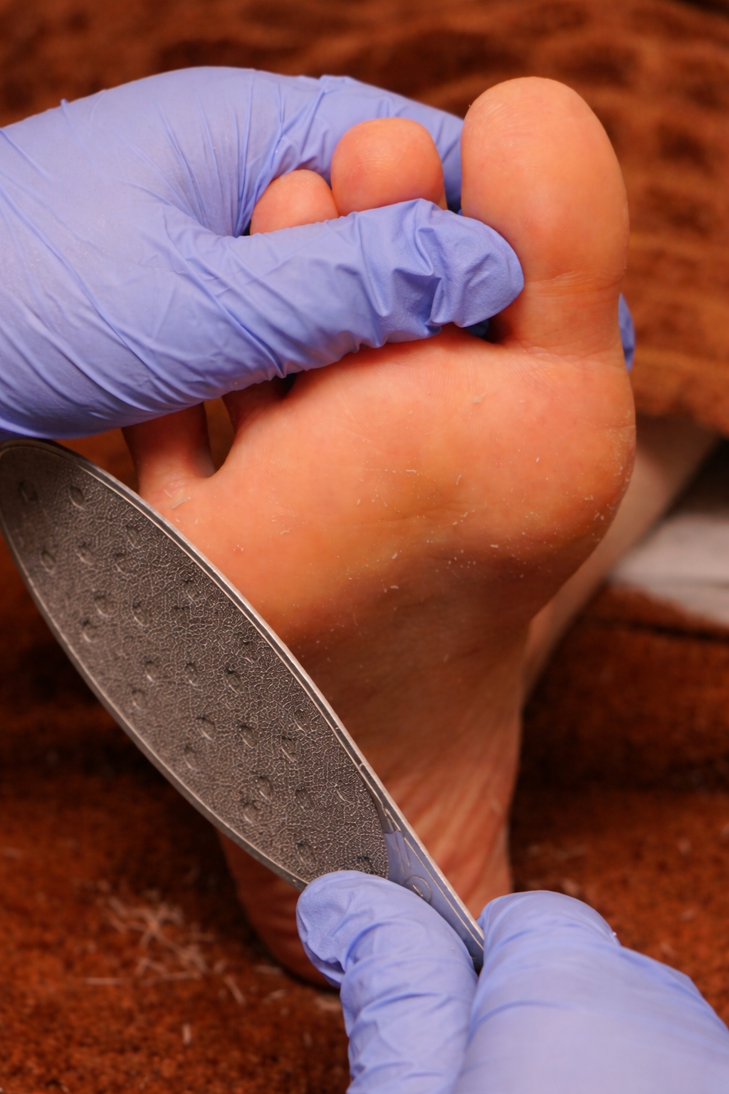 chatgpt image feb 9, 2026, 02 28 05 pm